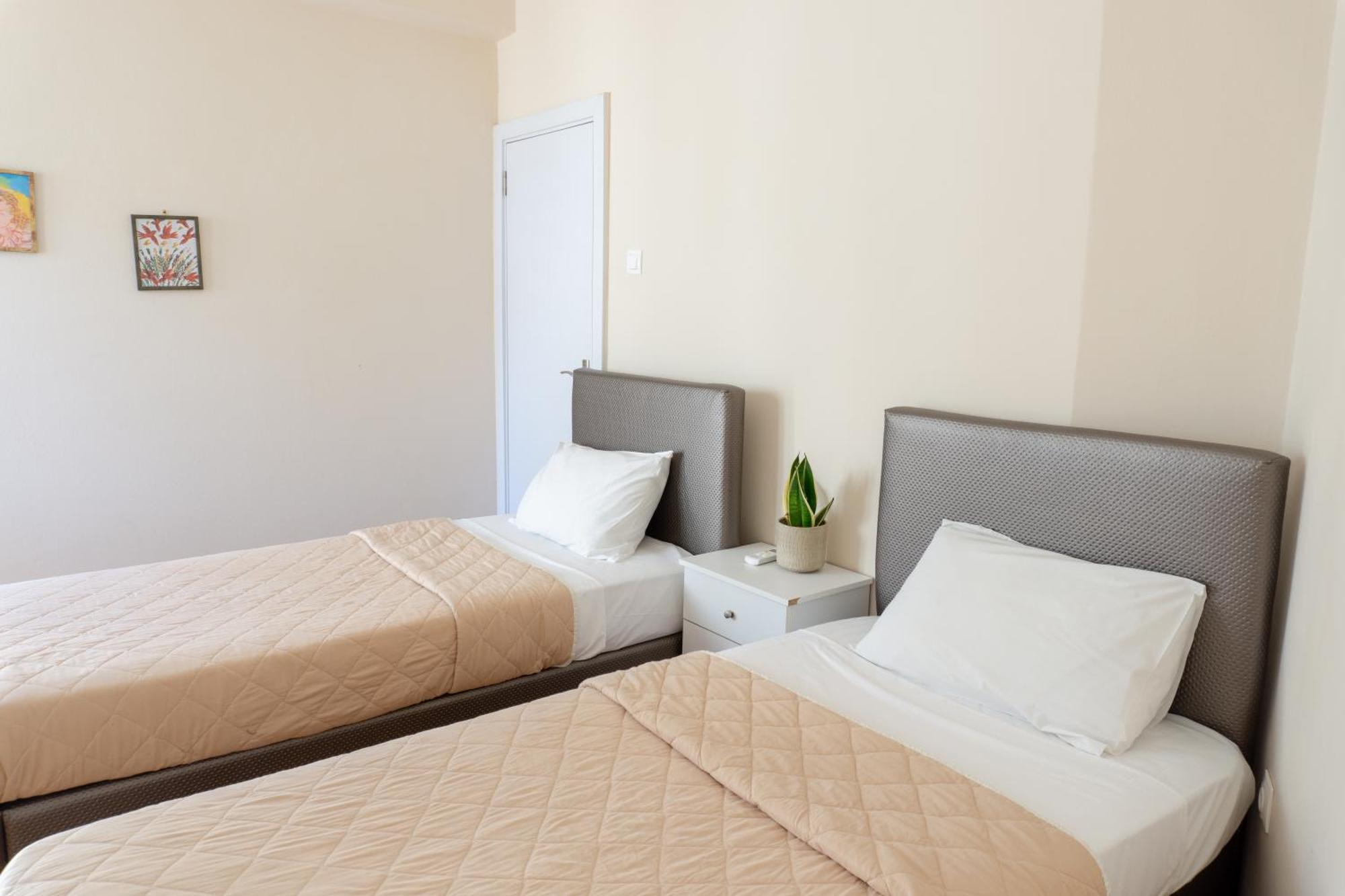 אתונה Cozy Apartment In Pangrati Area! מראה חיצוני תמונה